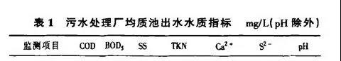 MBBR工艺处理化工废水实例解析