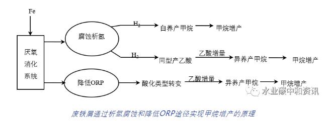 废铁屑强化污泥厌氧消化产甲烷可行性分析