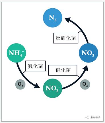 污水厂的处理流程中的工艺细节管理（十九）-生化池的运行细节10