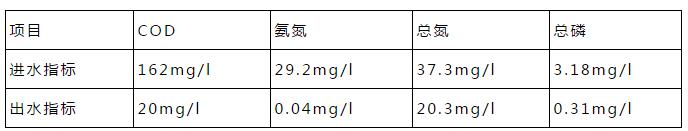 总氮提标的调试过程及总结！