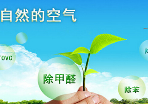 除了空气净化器，还有哪些方法可以有效去除甲醛？